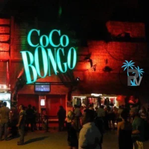 que hacer en playa del carmen de noche